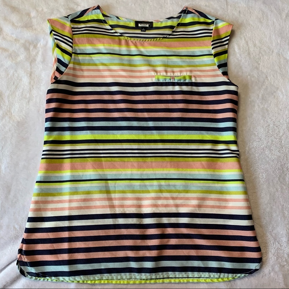 The Limited Striped Blouse